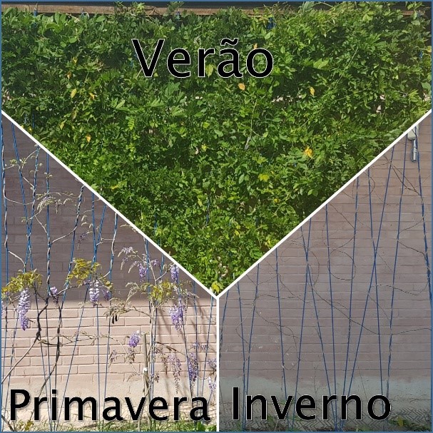Registros térmicos do brise vegetal